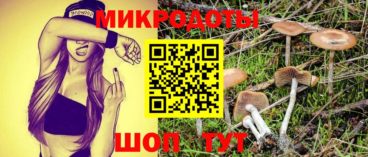 Видное  где найти   Вход с VPN  Галлюциногенные грибы GOLDEN TEACHER 